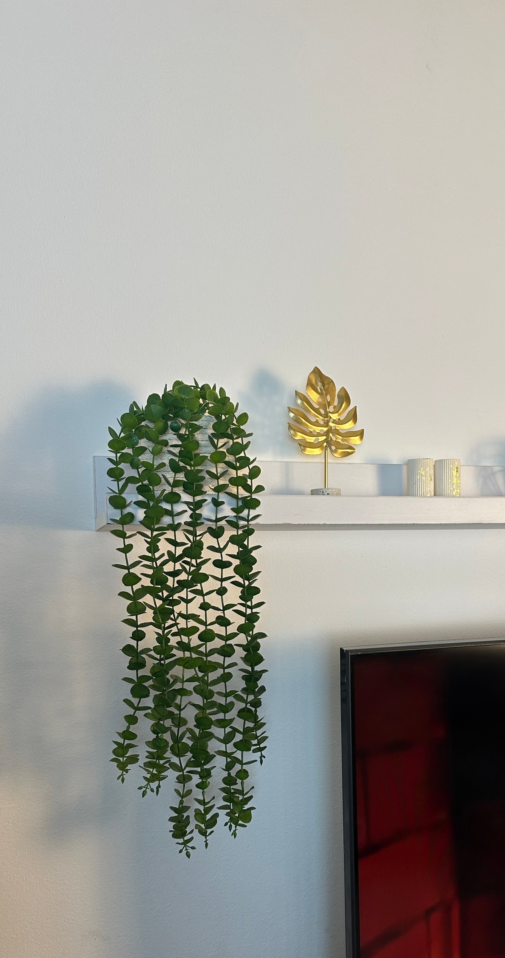 شلال زرع ببوت مكرمية