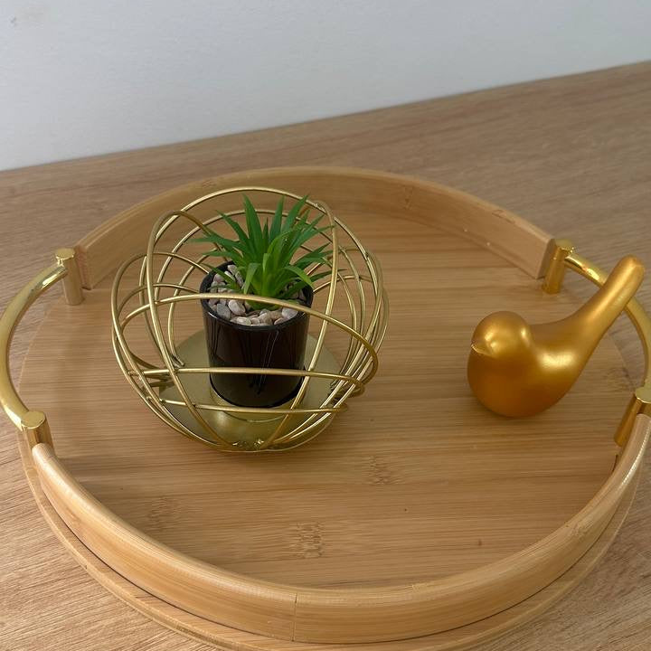 Plant Decor With Gold Metal Cover