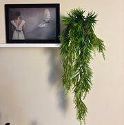 Waterfall planting with wicker basket
