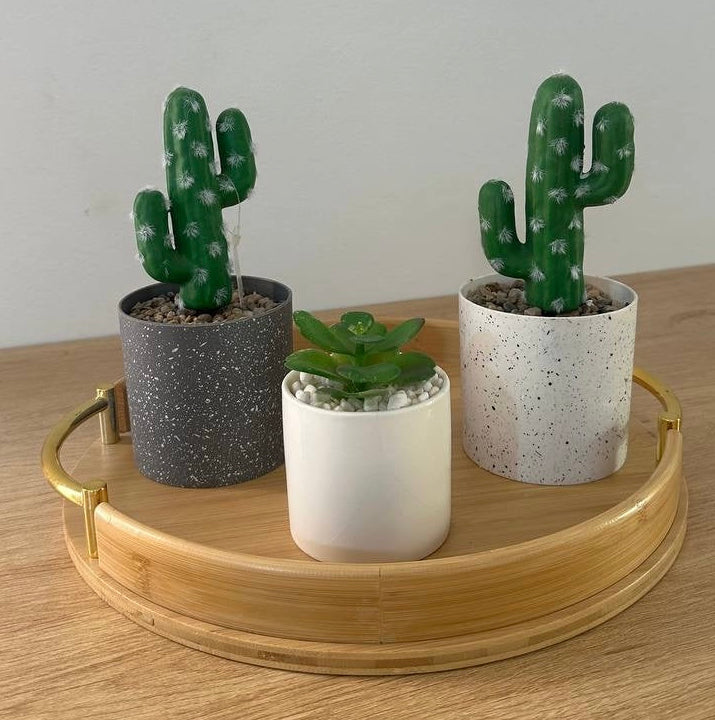 Artificial Cactus Plant