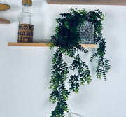 شلال زرع ببوت فخار