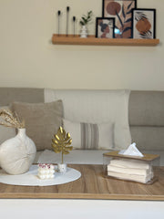 حامل مناديل اكريلك شفاف