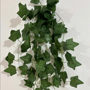 (5)branches of hanging plants+ Double Sided Adhesive nail ( gift)
