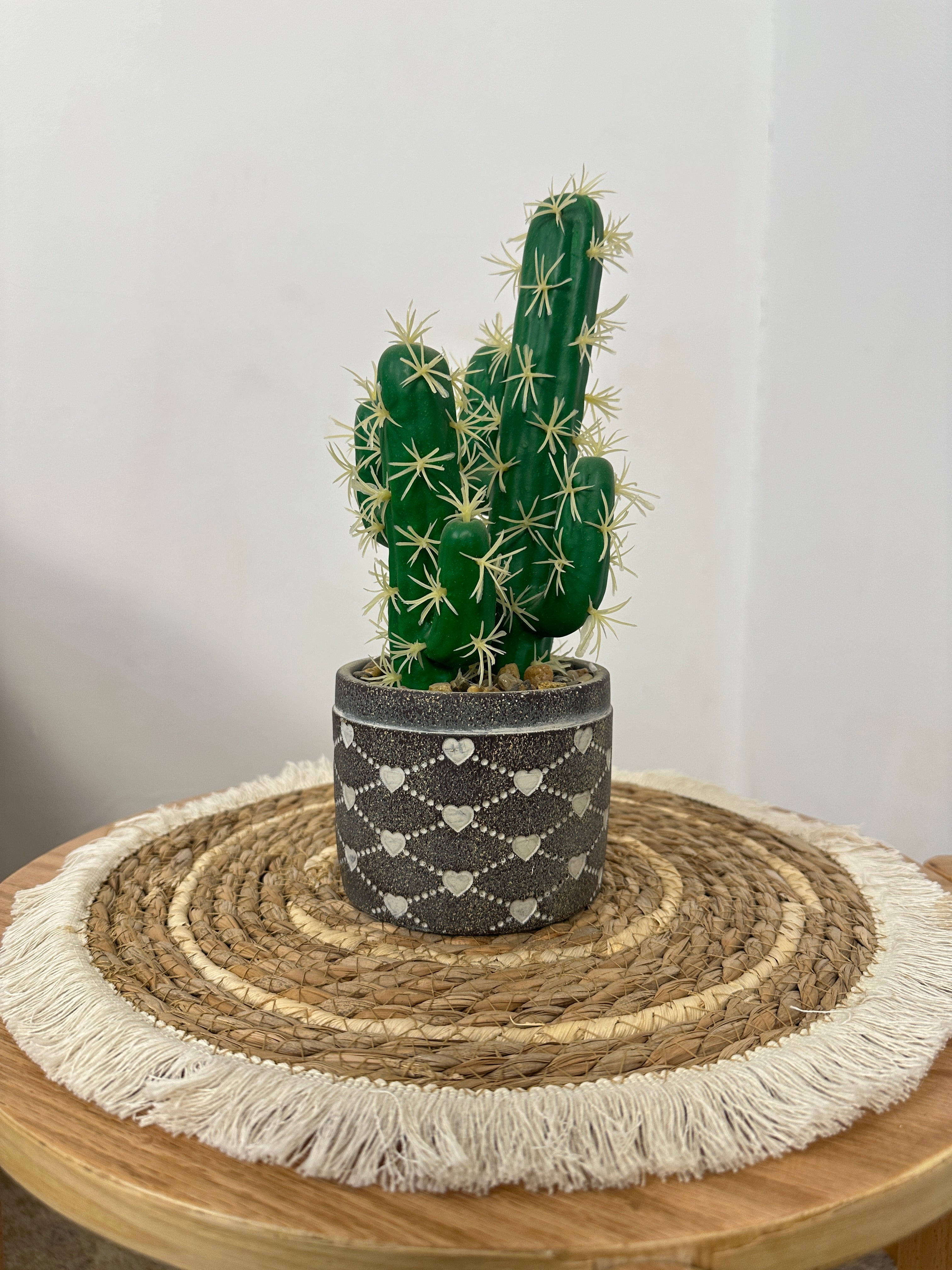 صبارة بقاعدة فخار