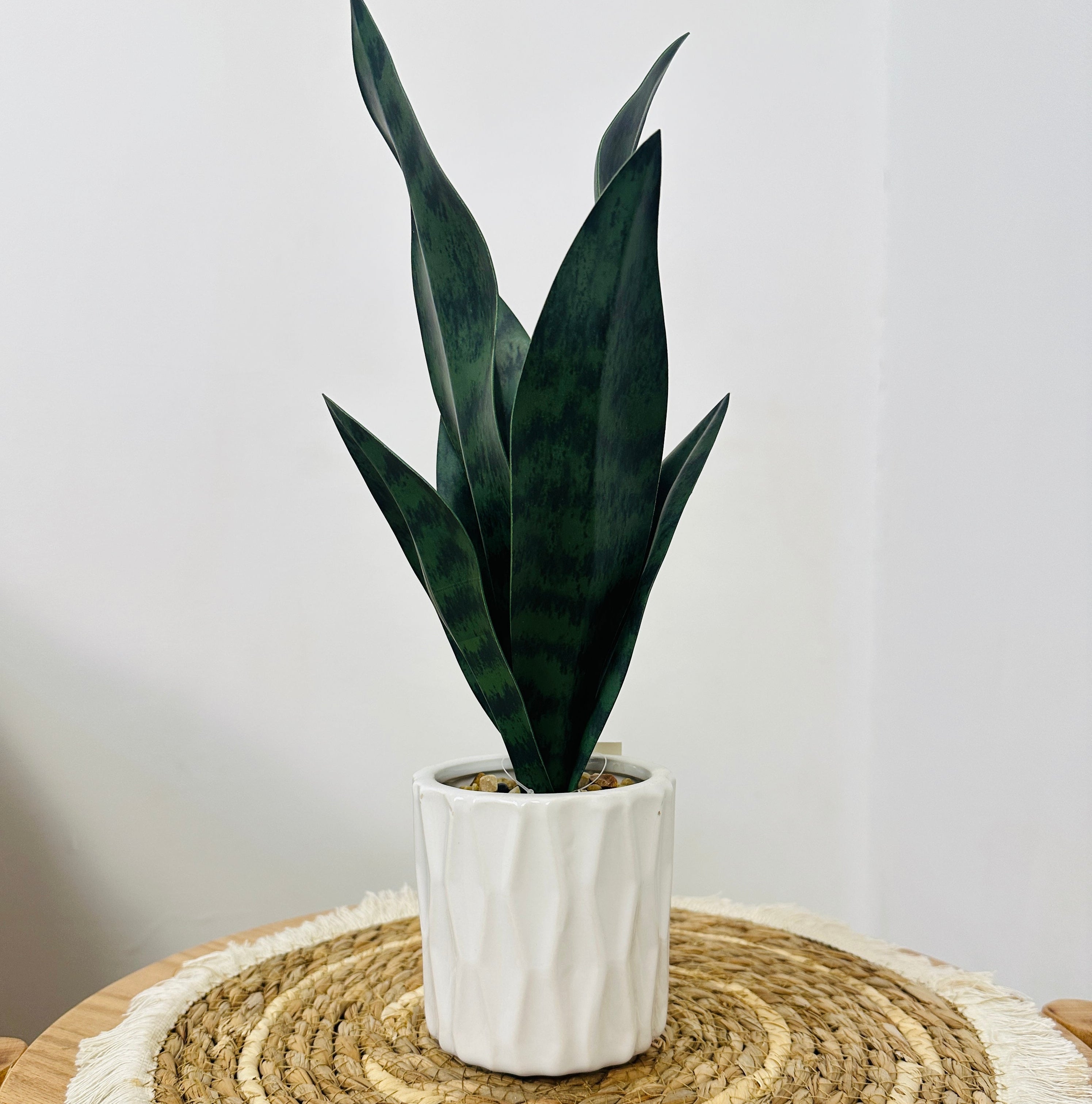 Porcelain Cactus