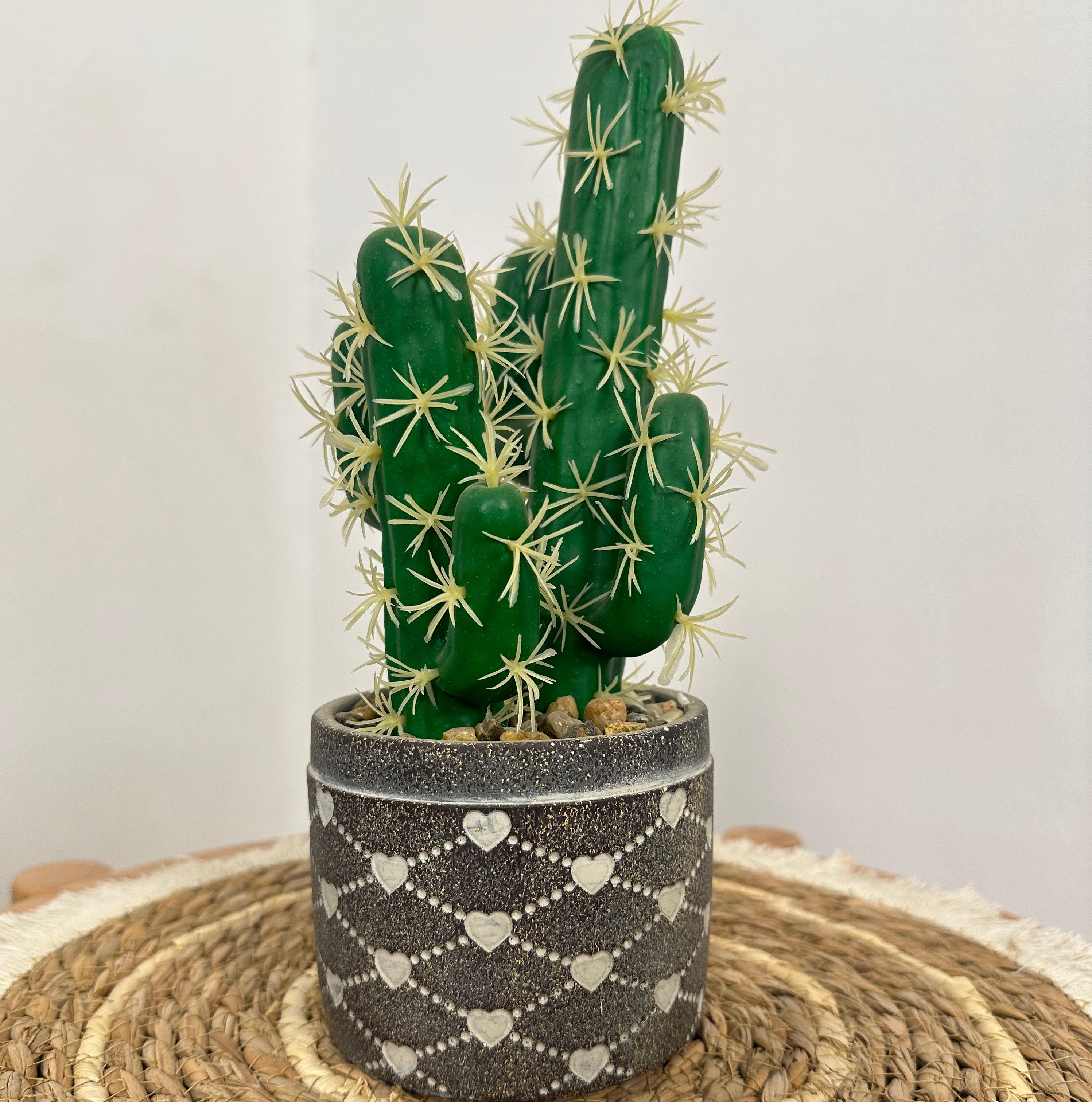 Artificial Cactus Plant