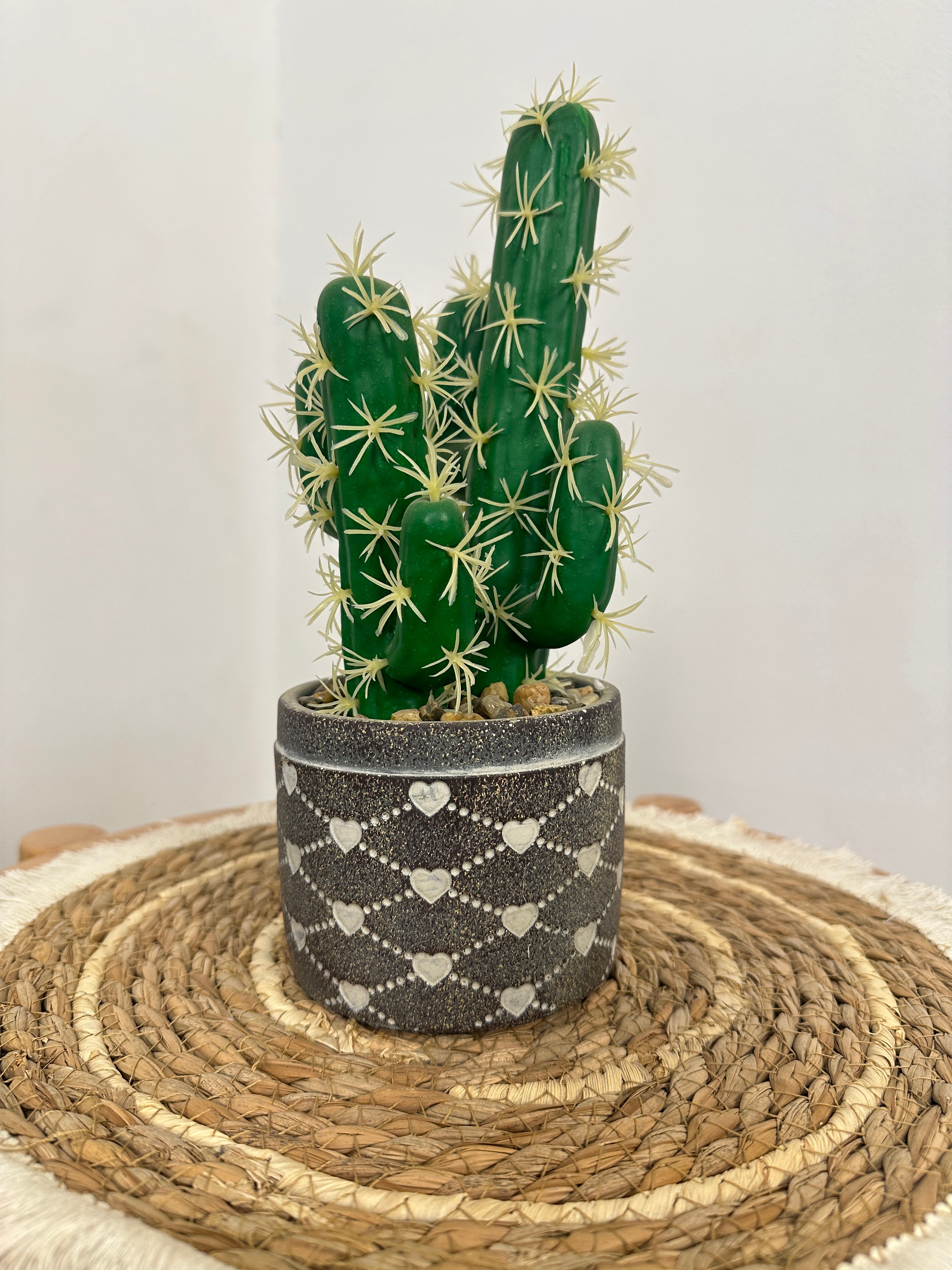 صبارة بقاعدة فخار