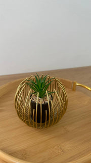 فازة شوكة جولد ديكور