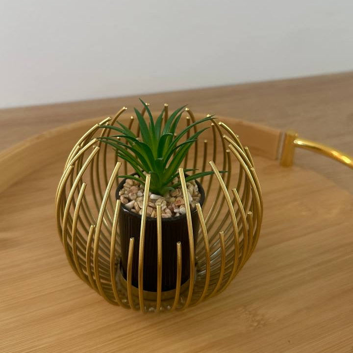 Plant Decor With Gold Metal Cover