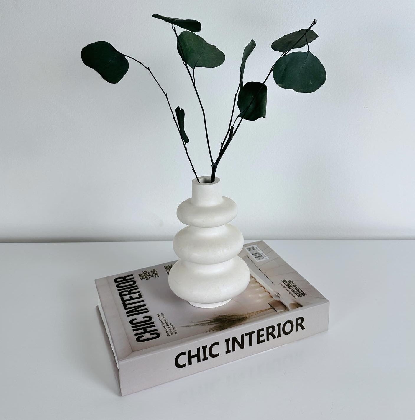 Ribbed vase with plant