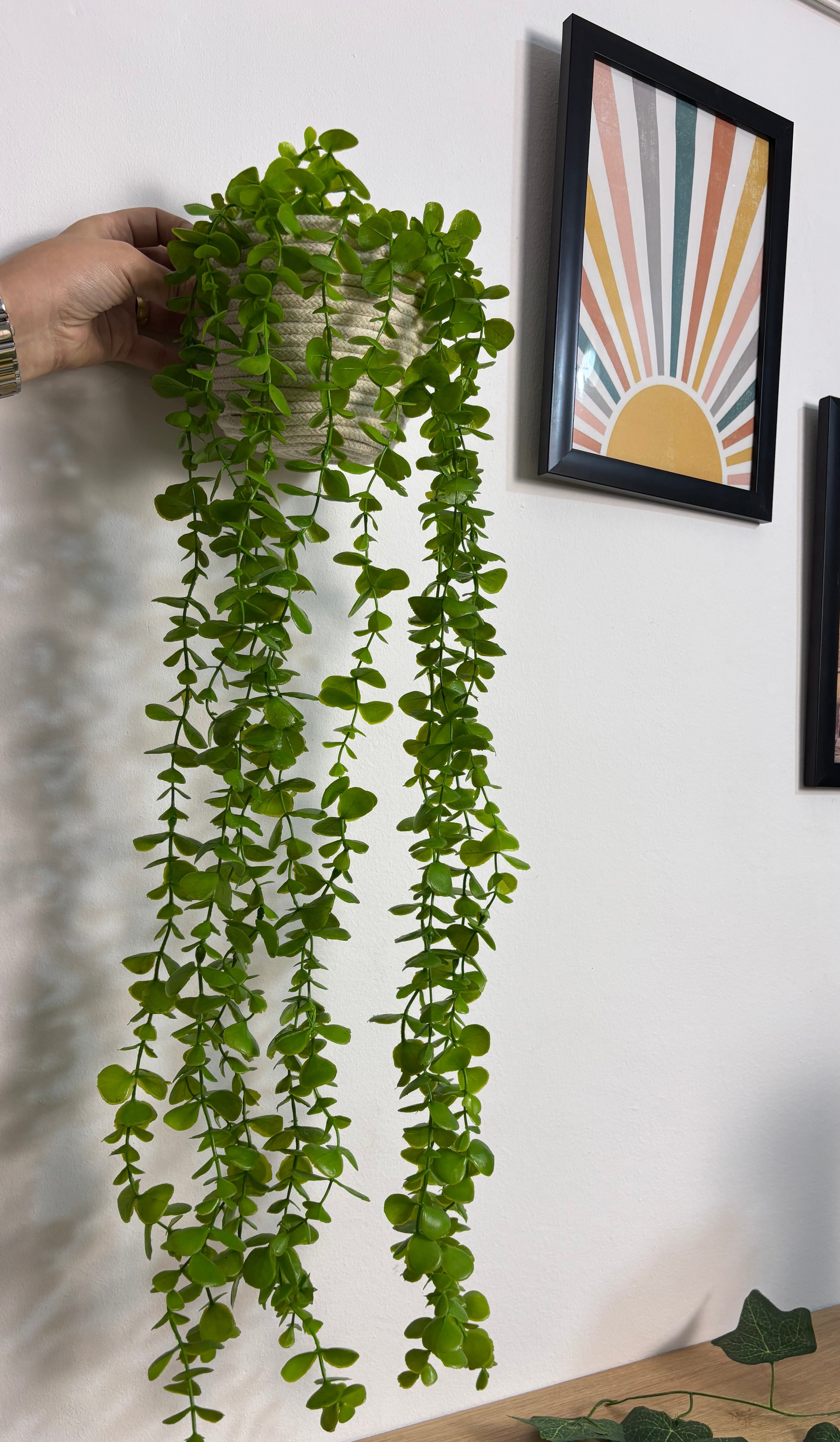 شلال زرع ببوت مكرمية