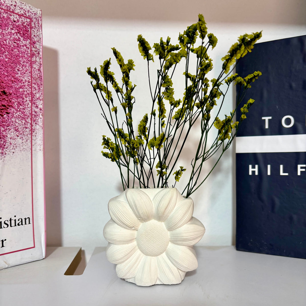 Daisy Bloom Concrete Vase with plant