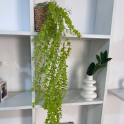 Waterfall planting with wicker basket