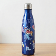 Stainless Steel Vacuum Insulated Water Bottle