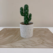 Artificial Cactus Plant